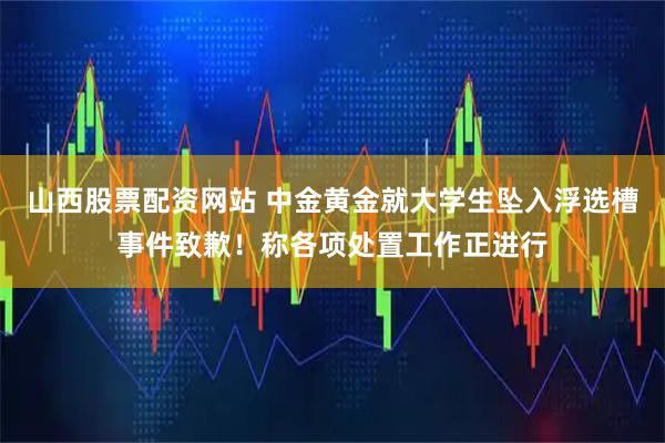 山西股票配资网站 中金黄金就大学生坠入浮选槽事件致歉！称各项处置工作正进行